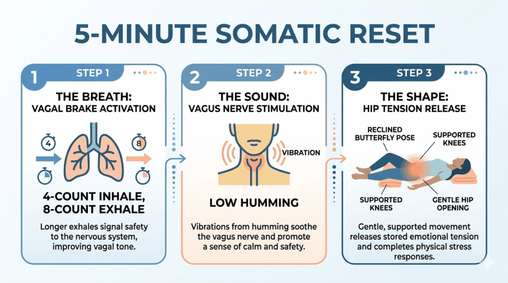 Infographic showing a 5-minute somatic reset using breath, humming, and hip release to support vagus nerve regulation.
