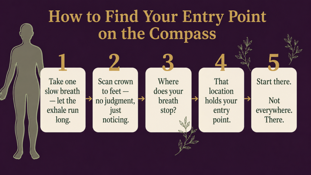 How to Find Your Entry Point on the Compass infographic with five steps for mindful self-awareness.