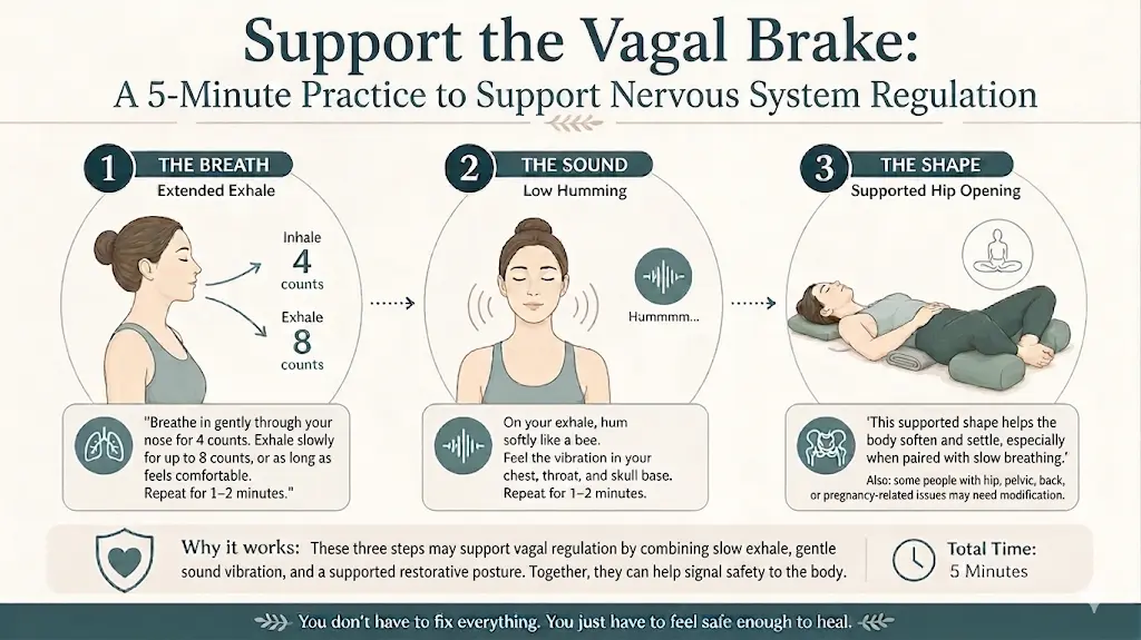 Infographic showing a 5-minute vagal brake practice using breathing, humming, and supported stretching for calm.