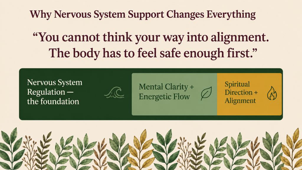 Why Nervous System Support Changes Everything infographic linking regulation to clarity and alignment.